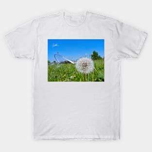 Dandelion clock and wind blown seed T-Shirt